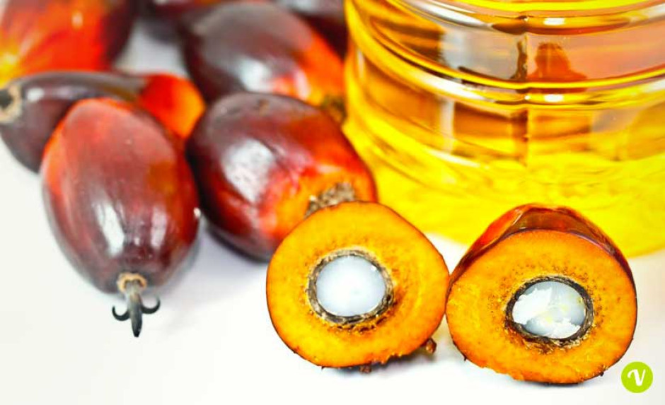 Olio di palma, l´EFSA potrebbe presto rivedere la sua posizione in merito