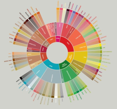 La ruota per la degustazione del caffè